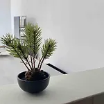 Pure Vilamoura 2 Bedrooms With Pool 公寓